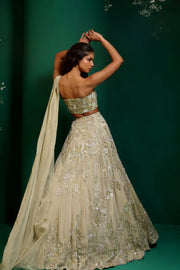 Pistachio Draped Lehenga